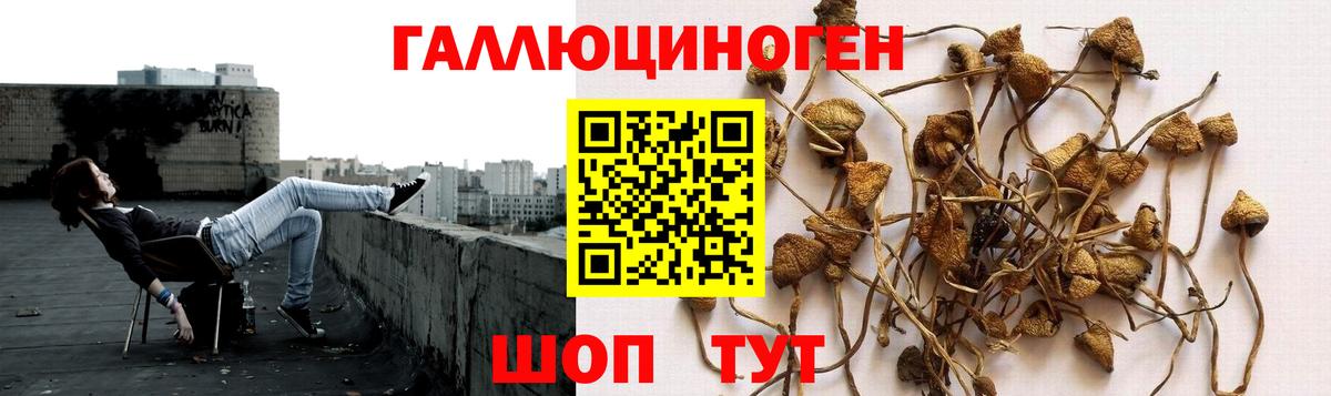 Туапсе  Галлюциногенные грибы ЛСД  Вход с VPN  Псилоцибиновые грибы прущие грибы 